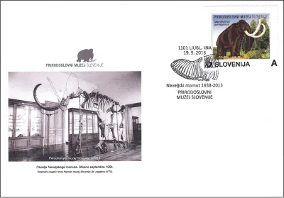 75. OBLETNICA NAJDBE NEVELJSKEGA MAMUTA 1938 - 2013
